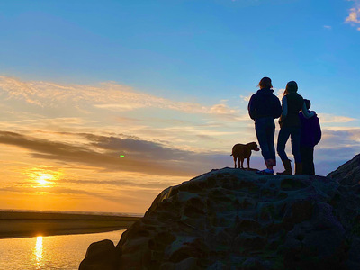 Link to: /pages/pain-management